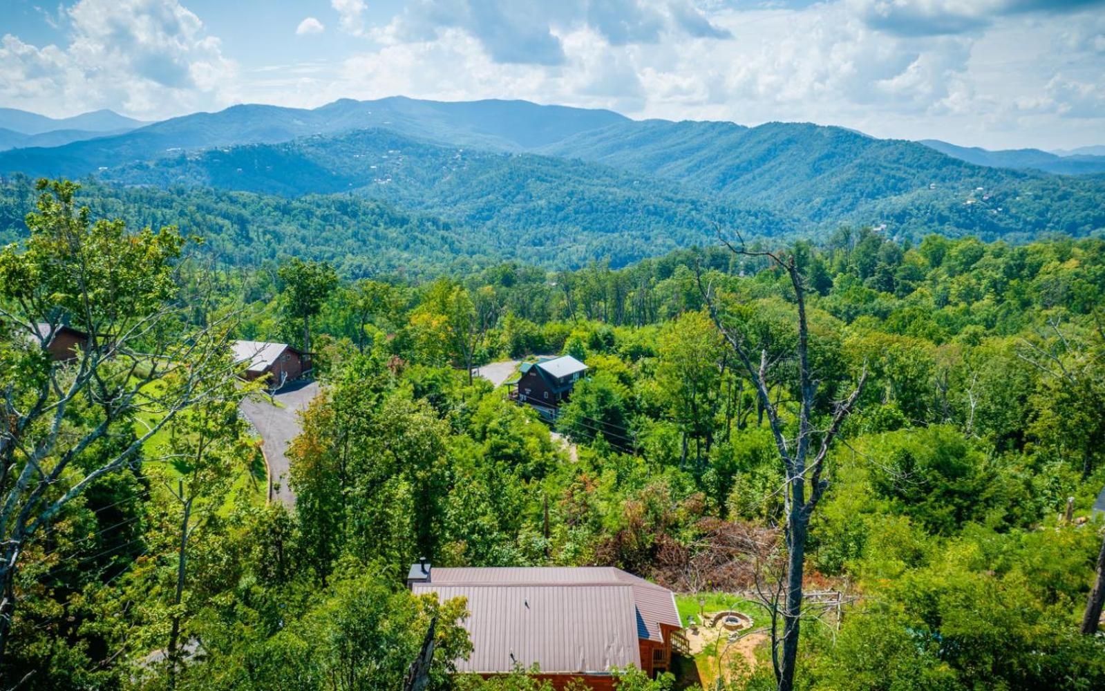 Villa Lifes A Bear Gatlinburg Exterior foto