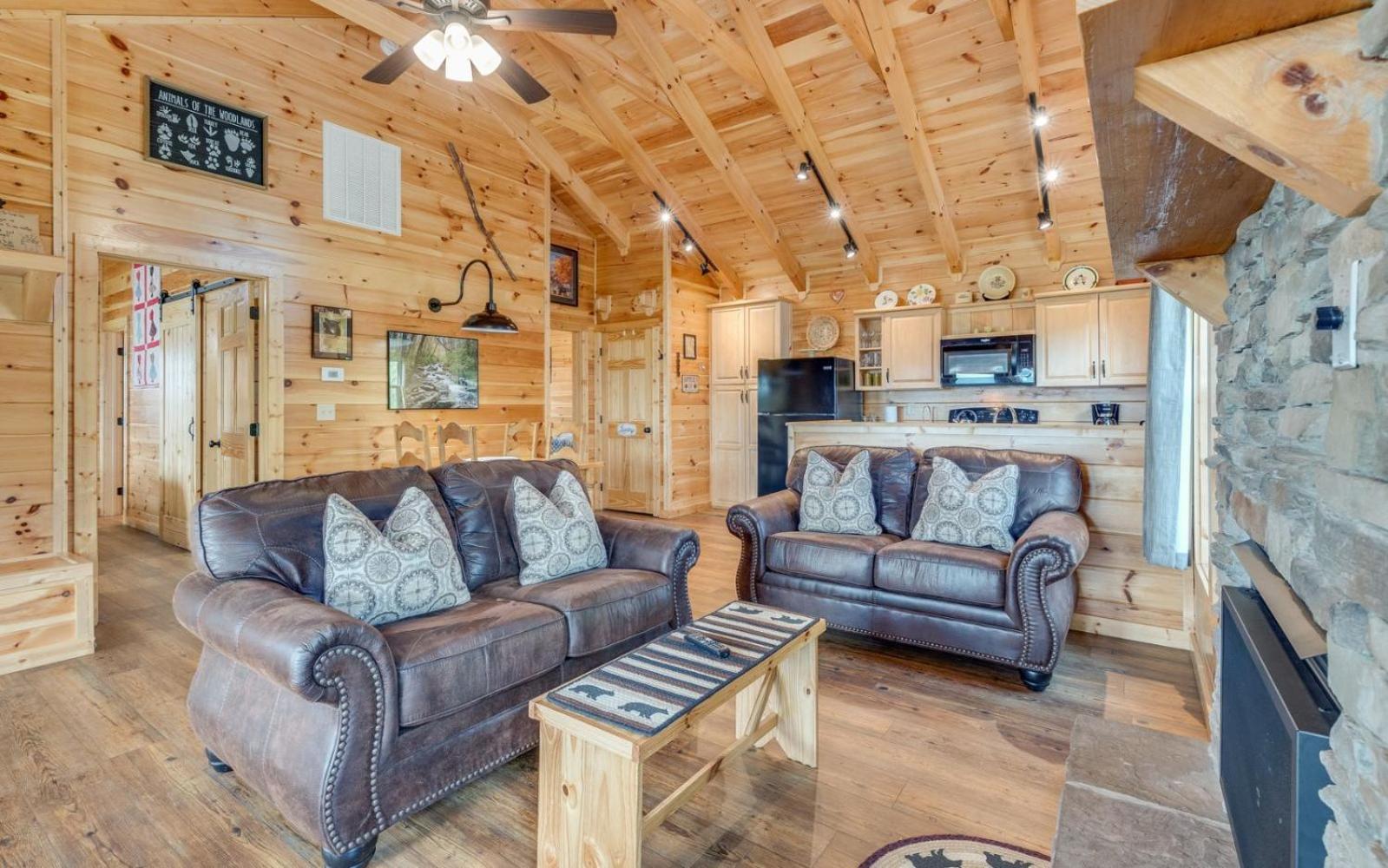 Villa Lifes A Bear Gatlinburg Exterior foto